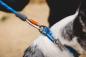 Preview: Ruffwear Knot-a-Leash Blue Pool Gr. S